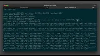 Streaming Synthetic Sales Data Generator Demonstration (video only - no audio)