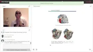 Лицевые связки - формирование карманов