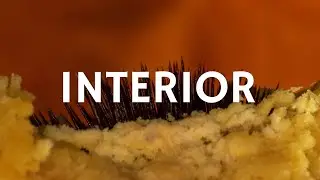 Carne Doce - Interior (Libras e letra)