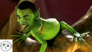 1 Bit 2 Bit 4 Bit 8 Bit 16 BIT 32 Bit 128 Bit (Lizard)