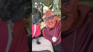 Vlog   The Week That Was
