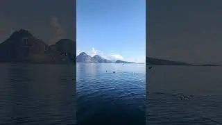 Рыбалка в Норвегии с Иванычем