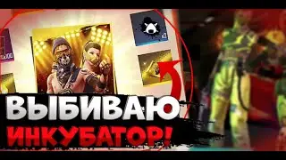 Новый инкубатор|Читерский способ выбить инкубатор за всего 2000 алмазов 😍🔥🔥