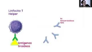 Exámenes de Laboratorio: En suero o Plasma?