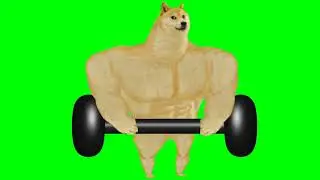 Doge Workout  Green Screen || Doge Green Screen
