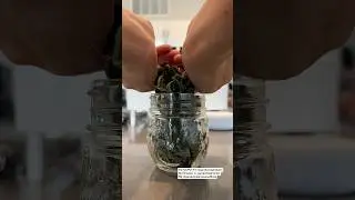 Dehydrating Holy Basil