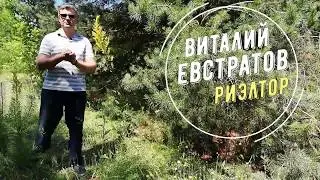 Продажа земельного участка в Хлепче