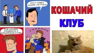 Мемы. КОШАЧИЙ КЛУБ. Лютые приколы