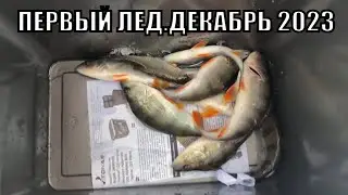 ПЕРВЫЙ ЛЕД.ДЕКАБРЬ 2023