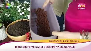 Balkonlarımızı nasıl bahçeye çevirebiliriz