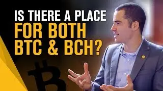 Is there a place for both BTC and BCH? and Roger's 1st business | Roger Ver Interview