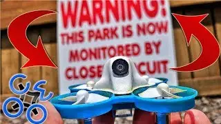 They're Watching!!!