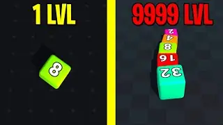 Jelly Cube Run 2048 - Max Level! New Game Jelly Cube Run 2048!