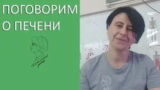 Поговорим о печени