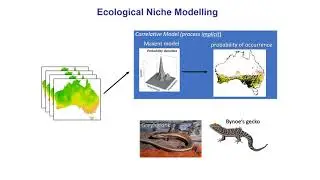 ENM2020 - W33T1 - Mechanistic Models - a