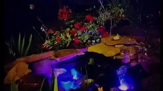 Пруд. Замена помпы и обзор оборудования.