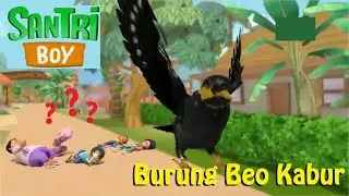 Burung Beo Bikin Kacau | SANTRI BOY Episode Burung Beo Kabur