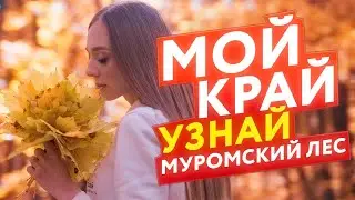 Сказочный Муромский лес. Белгород.