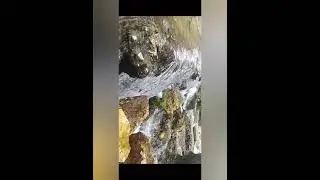 doğa fotoğrafları