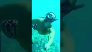 ПОД ВОДОЙ КРАСИВО