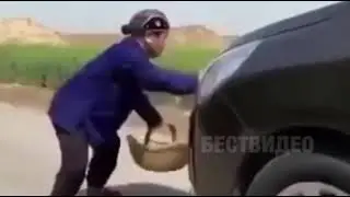 Помог )