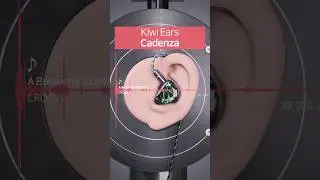 【REAL SOUND】Kiwi Ears Cadenza 🆚 Singolo