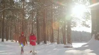 ПЕРВЫЙ СНЕГ - Анна Альмендингер