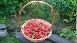 Вкусный клубничный десерт 🍓!  Рецепт года!