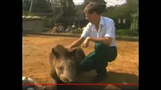 Hot weather hits London | London Zoo | Animals cooling off | TN-83-051-006
