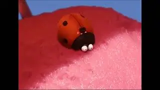 minuscule - compilation 6 