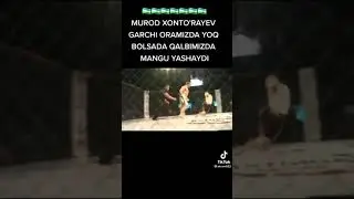 Осиё Айиг'и Мурод Хонтураев