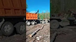 9 июня 2024 г.