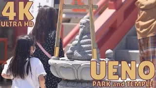 Ueno Park / Temples 4K 60 - Travel Japan