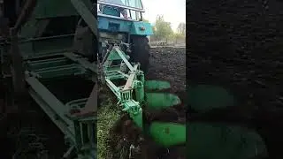 Юмз пахата 2