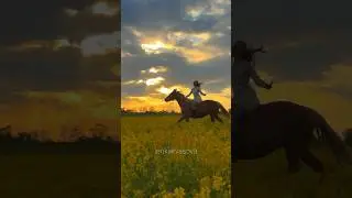 Почувствуйте 💔 #конныйблог #конныйтуризм #конныепрогулки #equestrian #галоп #безседла #галопбезрук