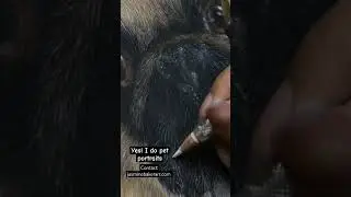 Drawing my Dog Harley ( 2018)