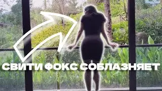 СВИТИ ФОКС, ВИД СЗАДИ