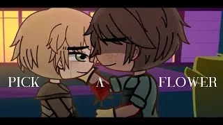 Pick A Flower | MEME
