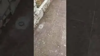 passeggiata