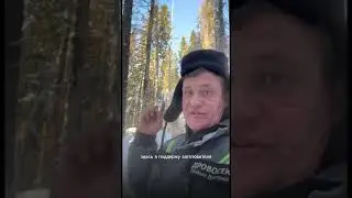 СТРОИТЬ ЛИ БАНЮ ИЗ МЕРТВОГО ЛЕСА?