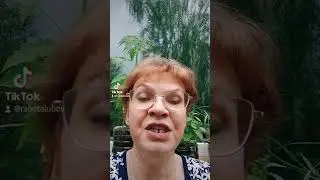 13 июня 2024 г.