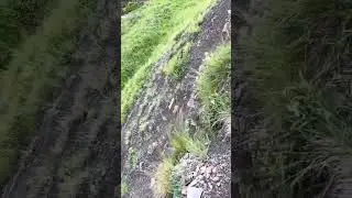 Горная охота ,горная  рыбалка 🎣
