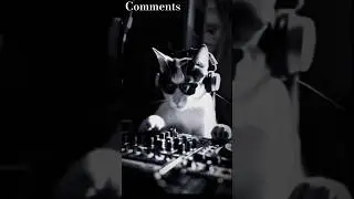 Shapatar Billa🐱 Disco Dance | Cat In Party #tiktok #production #shorts #cat
