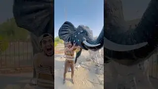 Cute Elephant crying 🥲❤️|