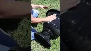 Fix Your Dull Planter Pots with This Simple Home Hack! (shorts)