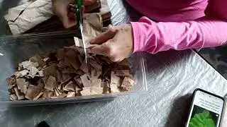 Composting Packaging Paper
