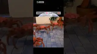 Real 💯 CRAB CRABS 🌎 Geo At The END 
