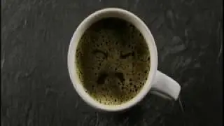 Coffeemate Natural Bliss Cold Brew Commercial