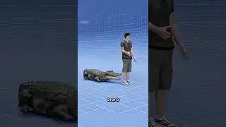 How to Survive Being Grabbed by a Crocodile 🤯