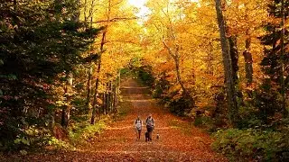 A Walk in the Park: Tettegouche State Park